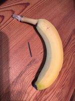 IMG_0215.jpeg