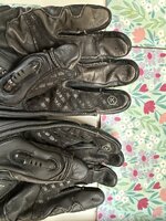 IMG_1097.jpeg
