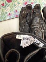 IMG_1098.jpeg