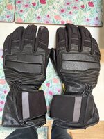 IMG_1100.jpeg