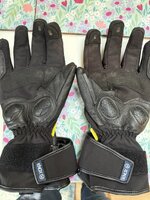 IMG_1101.jpeg