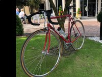 IMG_0383.jpeg