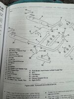 IMG_9132.jpeg
