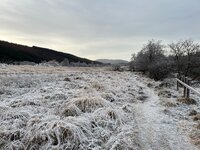 IMG_0992.jpeg