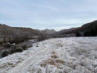 IMG_0991.jpeg