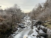 IMG_0993.jpeg