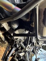 IMG_9488.jpeg