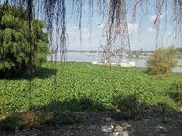 IMG20251230131349.jpg