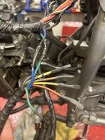 IMG_1971.jpeg
