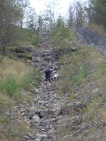 DSC00184.jpg