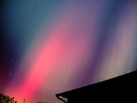 DSCN2208.jpg