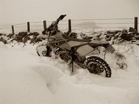 IMGP0946 (Small).JPG