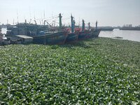 IMG20260102091238.jpg