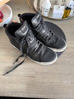 IMG_8351.jpeg