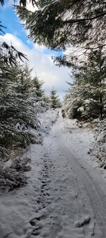 20260103_104823.jpg