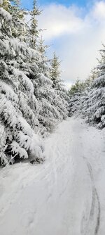 20260103_102624.jpg
