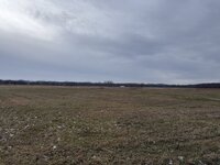 IMG_1270.jpeg