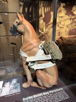 IMG_1106.jpeg