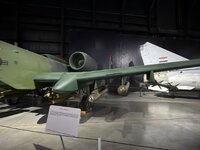 IMG_1166.jpeg