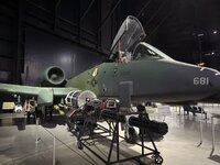 IMG_1169.jpeg