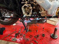 IMG_3437.jpeg