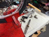 IMG_3439.jpeg
