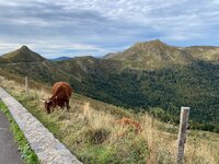 IMG_0629.jpeg