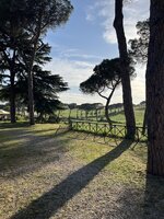 IMG_0488.jpeg