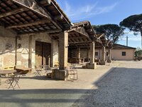 IMG_0476.jpeg