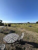 IMG_0479.jpeg