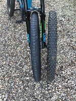 IMG_1170.jpeg