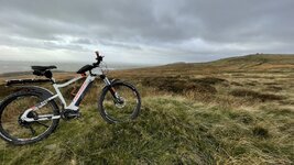 IMG_2147.jpeg