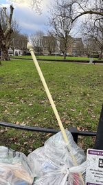 IMG_7141.jpeg