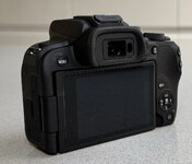 IMG_6736.jpeg