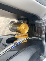 IMG_2088.jpeg