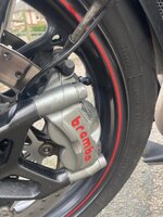 IMG_2098.jpeg