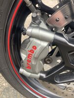 IMG_2095.jpeg