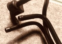 IMG_5980.jpeg