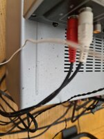 20260116_130728.jpg