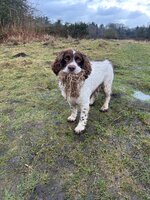 IMG_1163.jpeg