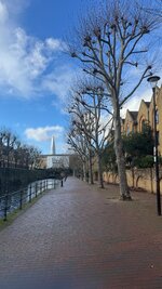 IMG_7163.jpeg