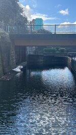 IMG_7164.jpeg