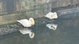 IMG_7166.jpeg