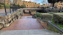 IMG_7168.jpeg