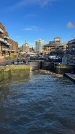 IMG_7193.jpeg