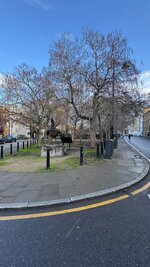 IMG_7198.jpeg