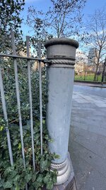 IMG_7201.jpeg