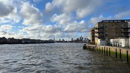 IMG_7203.jpeg