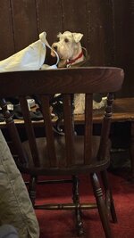 IMG_7235.jpeg