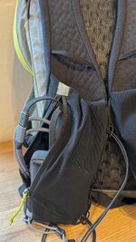 IMG_7245.jpeg IMG_7245.jpeg